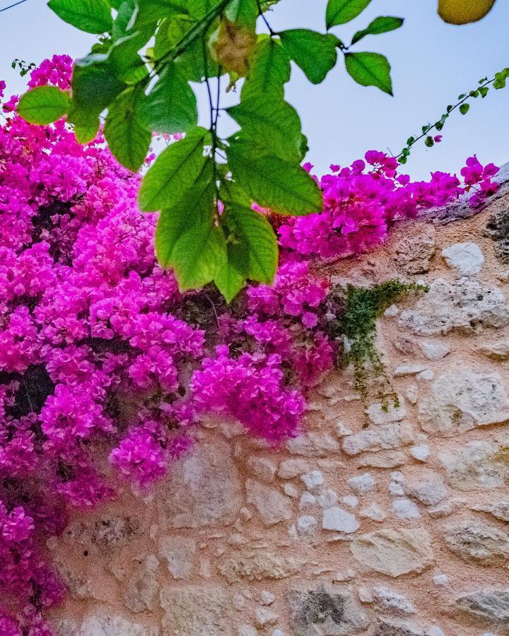 The Venetian Walls 'Central House With Private Courtyard - Charmy & Cheap' Heraklion Exterior foto